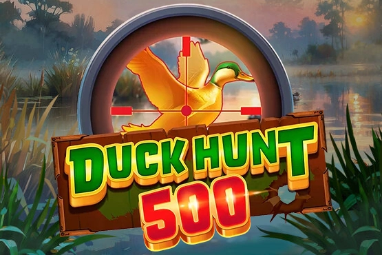 01396 duck hunt 500