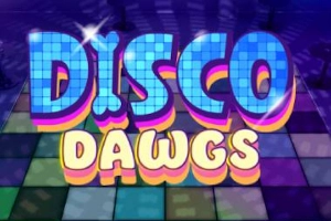 12853 disco dawgs